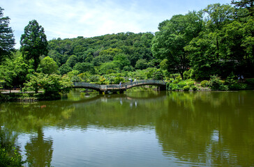Fototapeta na wymiar 町田薬師池公園　東京都｜緑が深まる初夏の薬師池とタイコ橋の景観です 