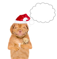 Smiling puppy wearing red  christmas hat hugs favorite toy bear. isolated on white background
