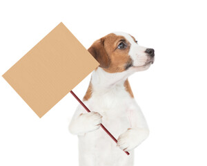 jack russell terrier puppy holds plastic bag and empty placard. Eco concept. Isolated on white background