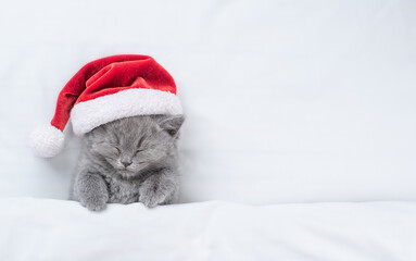 Cozy kitten wearing red santa's hat sleeps under a white blanket on a bed. Top down view. Empty...