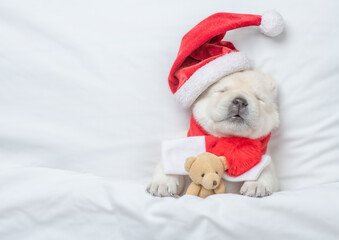Funny Golden retriever puppy wearing red santa's hat sleeps under warm blanket on a bed at home and...
