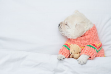 Fototapeta na wymiar Cozy Golden retriever puppy wearing warm sweater sleeps under white blanket on a bed at home and hugs favorite toy bear. Top down view. Empty space for text