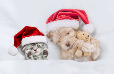 Obraz na płótnie Canvas Cute kitten and Goldust Yorkshire terrier puppy wearing santa hats sleep together under a white blanket on a bed at home with toy bear. Top down view