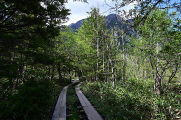 長野県・上高地　青い空に白い雲、初夏の心地よい風を感じながら、河童橋から明神池へ梓川右岸コースを散策