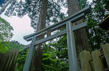 九頭龍神社　東京都檜原村｜奥多摩の静寂なパワースポットで魂が清められました  © 昇 青山
