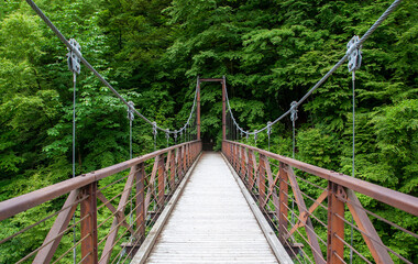 Fototapeta na wymiar 滝見橋　檜原村都民の森｜三頭大滝を間近で眺めることが出来る、趣豊かな吊り橋です 
