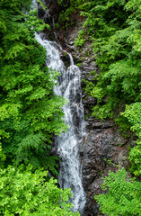 三頭大滝　東京檜原都民の森｜マイナスイオンを放ち、清涼感溢れる美しい滝です
