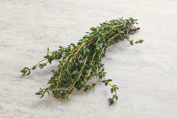 Fresh green Thyme branch heap
