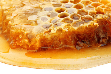 Honeycomb slice closeup