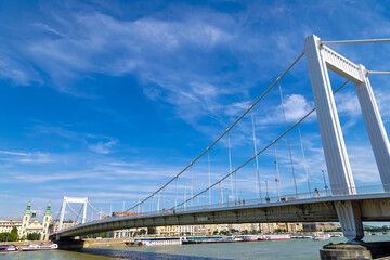 Fototapeta na wymiar Elizabeth bridge over Danube Rive in Budapest, Hungary.