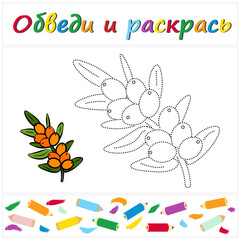 Sea ​​buckthorn. Educational developing game for preschoolers "Trace and color". Vector illustration for children, eps.