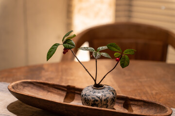 テーブルの上の小さい観葉植物