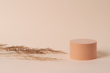 Geometric composition of aesthetic beige figures exposed on the beige background.