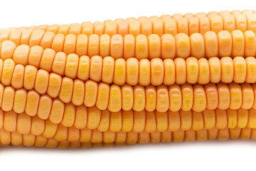 Boiled corncob closeup, corn maize isolated on white background