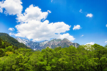 Fototapeta premium 長野県・上高地 天候に恵まれ、心地よい初夏の風を感じながら、光きらめく梓川の川べりを河童橋まで散策