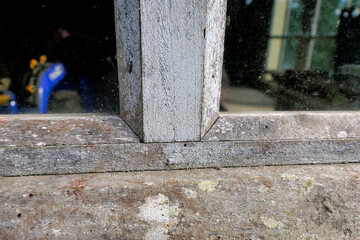 Neglected window showing signs of mould and flaking paintwork
