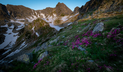 Mountains landscape