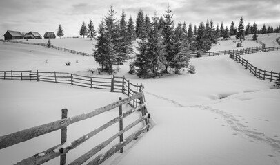 Winter landscape