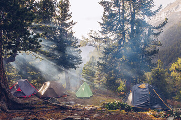 Camping tents in forest. Tourism concept, outdoors leisure. Life in a tent. Pine trees grove...