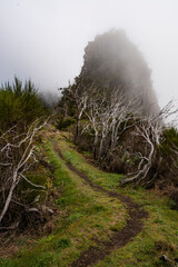 Mysterious foggy mountain landscape near "Boca das Torrinhas", Madeira, seen from the "Vereda da Encumeada" hiking trail, a ridgeway connecting Pico Ruivo and the Encumeada mountain pass