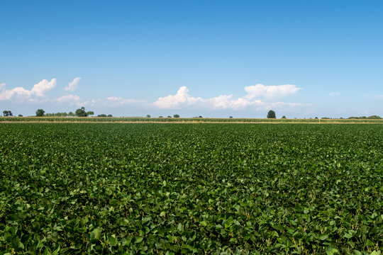 Pianura Padana