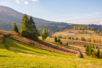 mountainous rural landscape. fields and pastures on rolling hills. sunny autumn day. beauty of carpathian countryside scenery