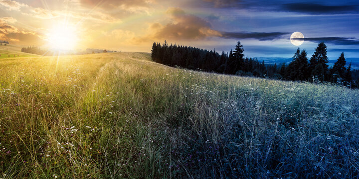 day and night time change concept of carpathians. coniferous forest on the grassy hill. landscape of carpathian alps with fresh green meadows. natural summer scenery with sun and moon on the sky