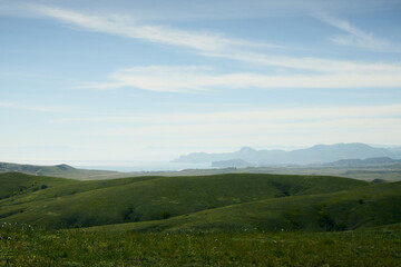 Naklejka premium A panorama of beautiful green hills. A summer landscape in the Crimea. Front view.