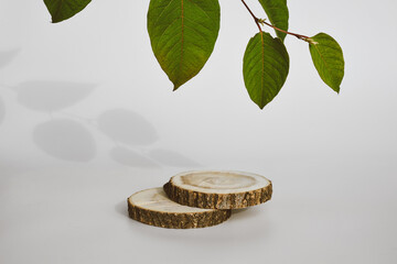 Podium from a slice of wood and green leaves.