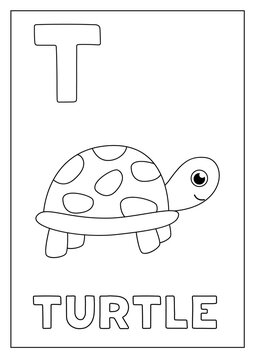 Learning English alphabet for kids. Letter T. Cute turtle.