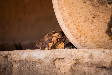 Proceso del mezcal, agave espadín cocido en molienda