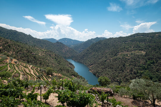 Entre montes, montanhas, vinhas e algumas oliveiras, o rio Tua pr&oacute;ximo &agrave; aldeia de Amieiro no concelho de Alij&oacute;, Portugal
