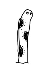 ちんあなごのイラスト