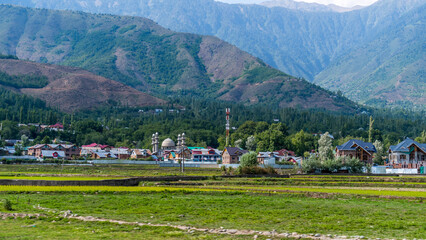 Beautiful Kashmir vally of India