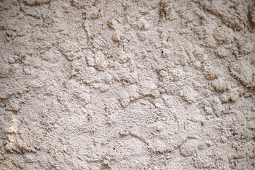 Texture of cement wall for wallpaper or background.