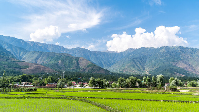 Beautiful Kashmir vally of India