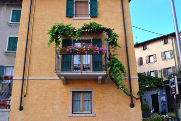 Naklejka premium Outdoor Balcony with Old Vine Plant on Side of Apartment Building 