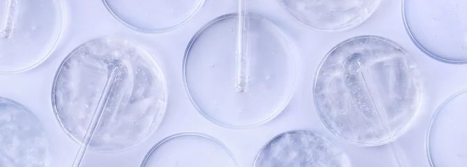 Poster banner glass pipette serum gel closeup in petri dish on a light background © Екатерина Клищевник