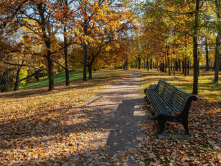 Peterhof in autumn, oaks and maples on the alleys of the Nizhniy Park.