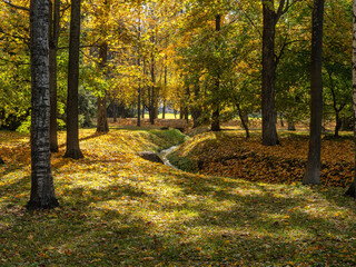 Fototapeta premium Peterhof in autumn, oaks and maples on the alleys of the Nizhniy Park.