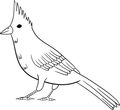 recommend clip art: Birds clipart design illustration