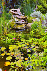 View of a small japanese pond with lillypads, fresh green aquatic plants, reeds and succulents...