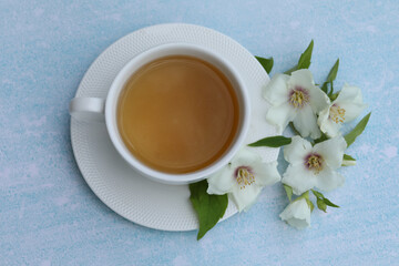 cup of herbal tea with jasmine flowers on blue background 