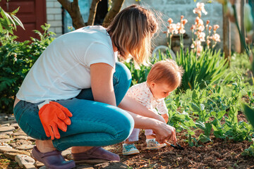 Young mother teaches her toddler daughter to weed the herbal beds with a toy shovel. Side view....