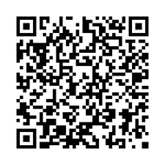 Vector QR code
