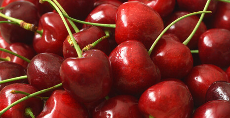 Sweet cherry food background closed up summer harvest