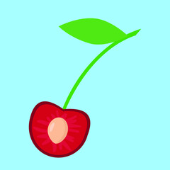 Cut cherry, pitted cherry and leaf, illustration