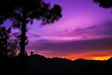 Mountains landscape with a crescent moon, purple sky and a cedar tree