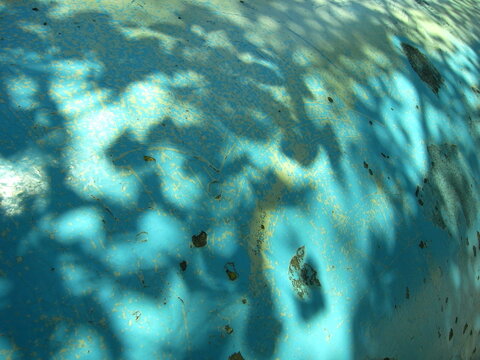 木漏れ日 影images Browse 3 106 Stock Photos Vectors And Video Adobe Stock