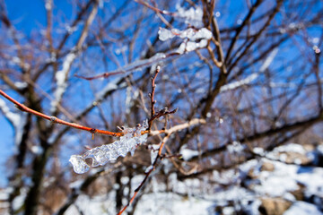 Iced water drops in Ifrane city